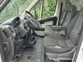 Fiat Ducato 3.5T 2.3 MJ 130pk L2H1 | PICK-UP | Clima | Cruise Wit - thumbnail 5
