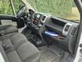 Fiat Ducato 3.5T 2.3 MJ 130pk L2H1 | PICK-UP | Clima | Cruise Wit - thumbnail 18