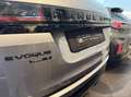 Land Rover Range Rover Evoque 2.0d i4 mhev R-Dynamic SE awd 240cv auto Gris - thumbnail 11