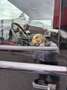 Land Rover Defender 110" Station Wagon S 2,4 TD - thumbnail 2