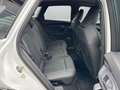 Audi Q5 SUV TDI quattro S tronic edition one HUD Luft Weiß - thumbnail 11