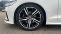 Volvo S60 R-Design, B3 mild hybrid Bianco - thumbnail 10