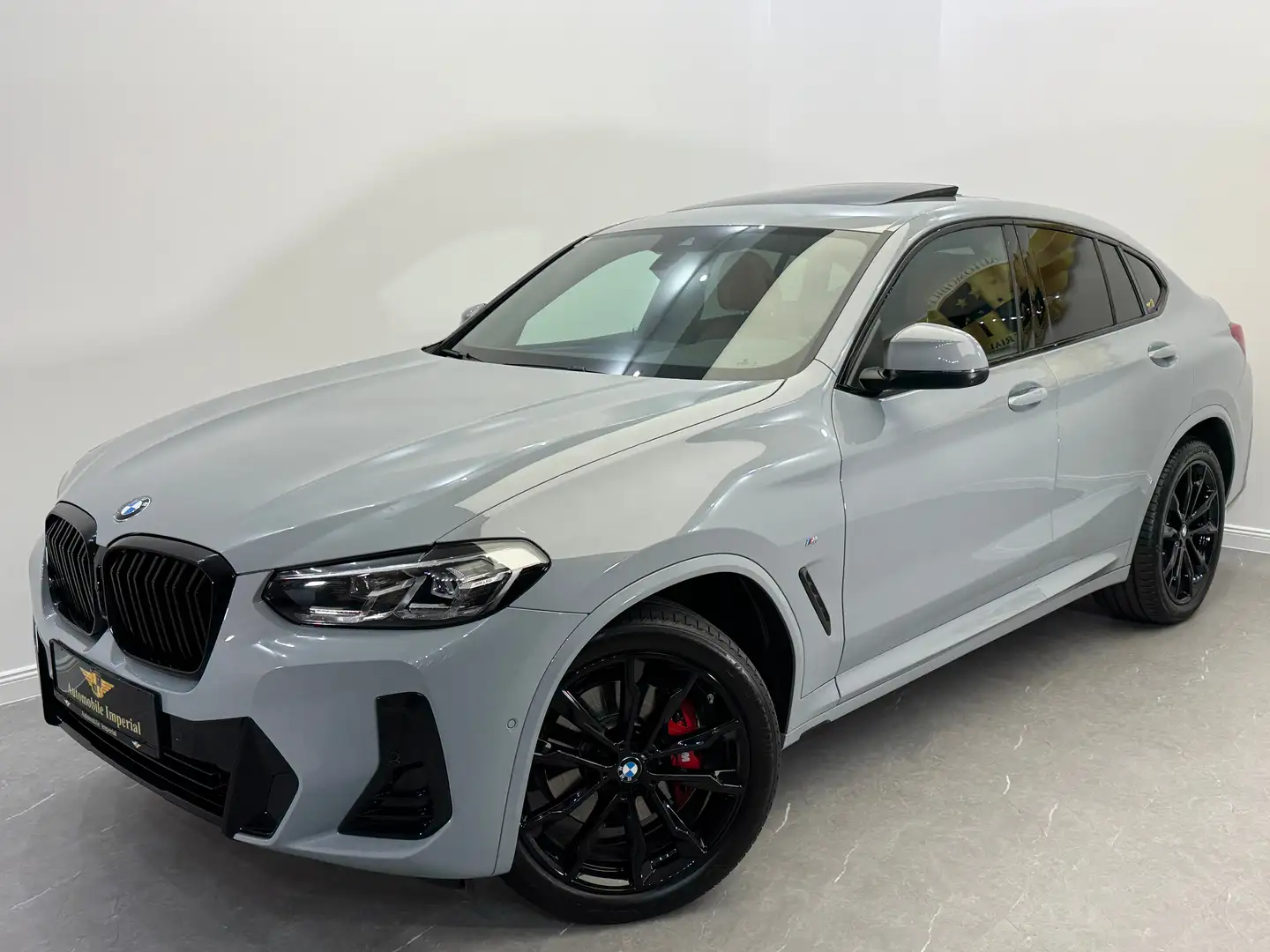 BMW X4 xDrive 20d Aut. // M-SPORT // PANO // 1.BESITZ // Grau - 2
