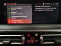 BMW X4 xDrive 20d Aut. // M-SPORT // PANO // 1.BESITZ // Grau - thumbnail 32