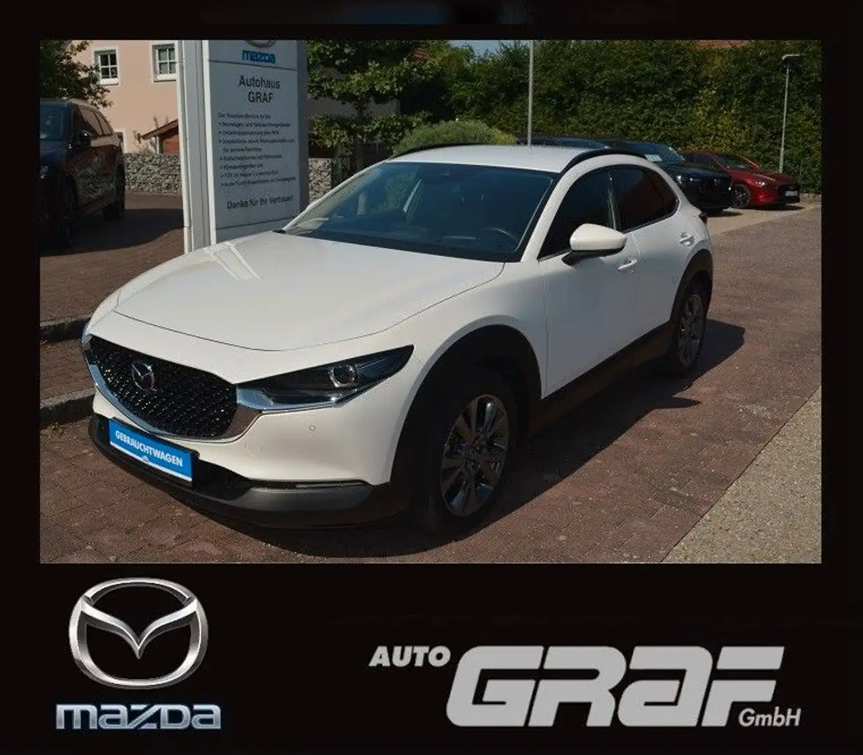 Mazda CX-30 Selection AWD NAVI LED 360° AHK Dachreling Weiß - 1