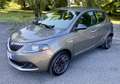 Lancia Ypsilon 1.0 firefly 70cv hybrid Gold - NEOPATENTATI Grigio - thumbnail 1