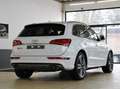 Audi SQ5 3.0 TDi COMPETiTiON *B&O*NAVi*21 Weiß - thumbnail 2