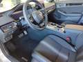 Honda Civic Civic e:HEV e:HEV 2.0 Hybrid Sport "FACELIFT'26" Weiß - thumbnail 10