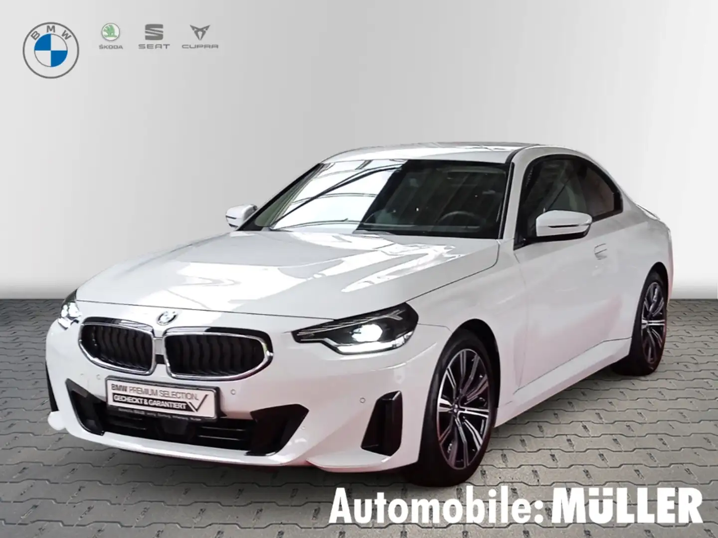BMW 218 i Coupe*Aut.*DAB*PDC*Sitzhzg.*KurveDisplay* Alb - 1