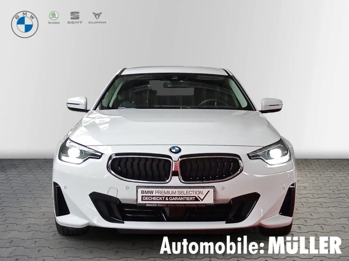 BMW 218 i Coupe*Aut.*DAB*PDC*Sitzhzg.*KurveDisplay* Alb - 2