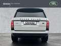 Land Rover Range Rover Autobiography 22" Pano super Zustand Weiß - thumbnail 7