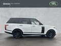Land Rover Range Rover Autobiography 22" Pano super Zustand Weiß - thumbnail 6