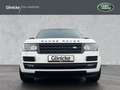 Land Rover Range Rover Autobiography 22" Pano super Zustand Weiß - thumbnail 8