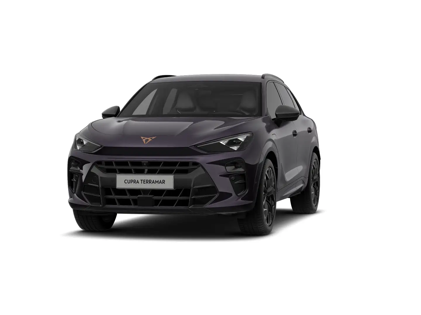 CUPRA Terramar e-HYBRID 204 PS DSG Violett - 1