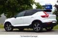 Volvo XC40 B4 R Design PilotAss/H&K/Memory/AHK Beyaz - thumbnail 4