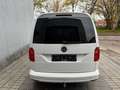 Volkswagen Caddy Caddy 2.0 TDI DSG Maxi  108000 KM LICHT VRACT Blanco - thumbnail 6