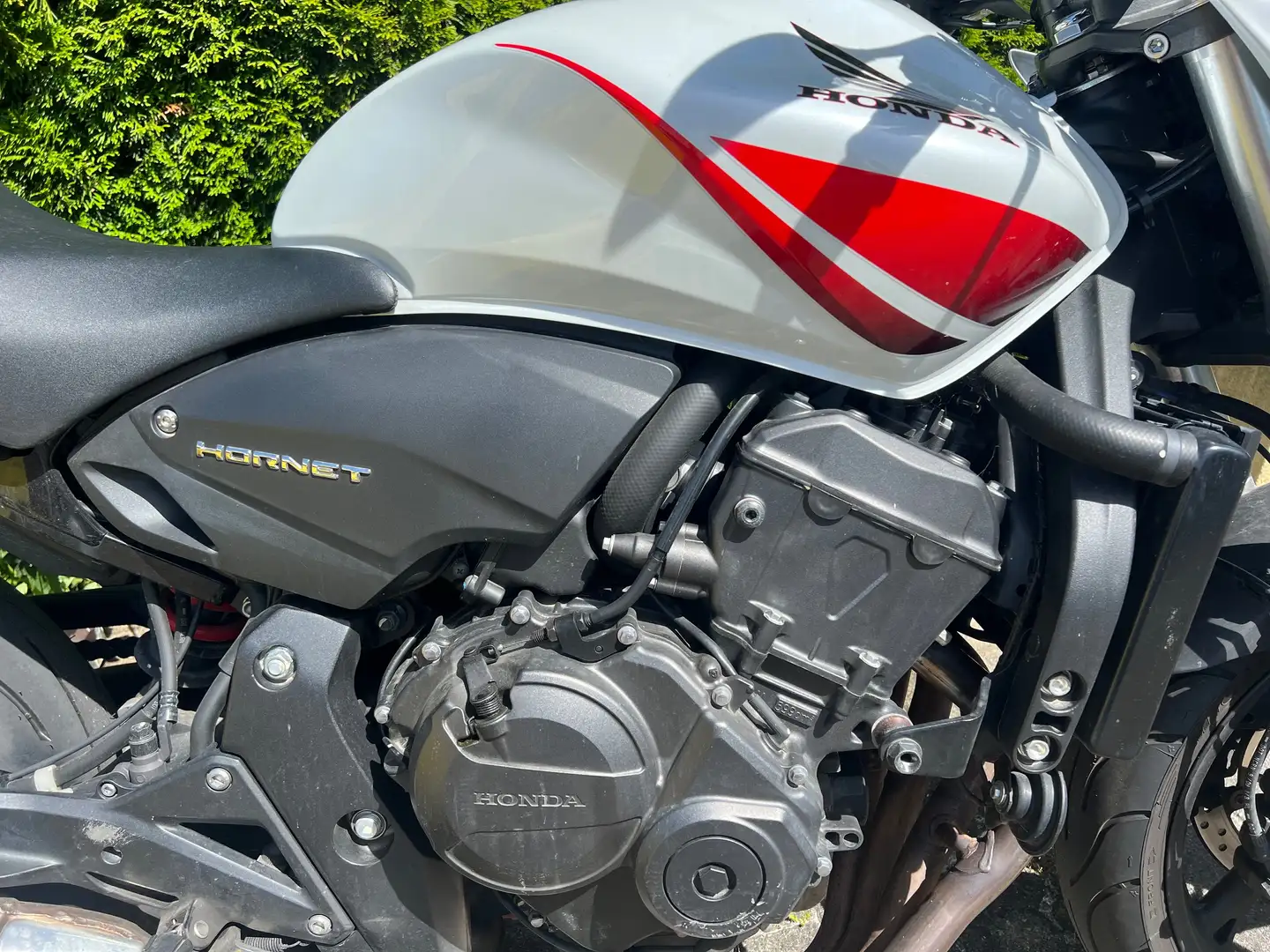Honda Hornet CB600F ABS Biały - 2