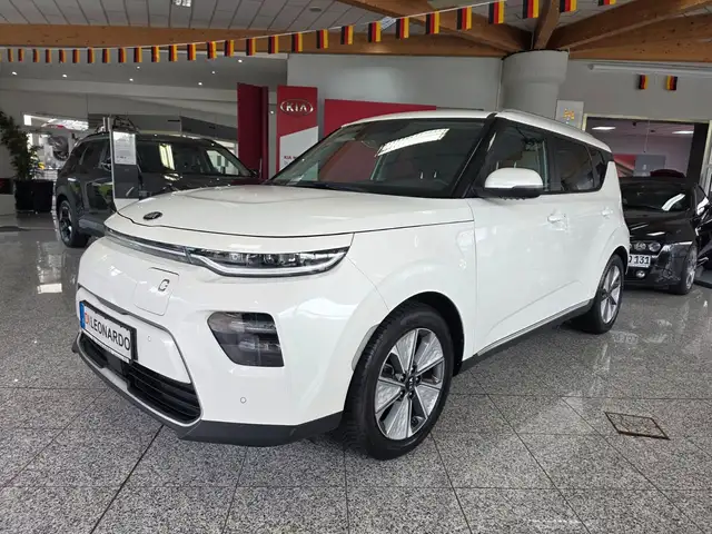 Kia Soul e-Soul 1. Hand Navi Kamera Allwetter