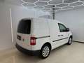 Volkswagen Caddy Caddy Kastenwagen 1,6TDI *Stand-&Fahrkühlung*Kl... Weiß - thumbnail 2