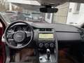 Jaguar E-Pace P250 AWD/1.HD/S-Heft/NAVI/SHZ/Garantie Rojo - thumbnail 9