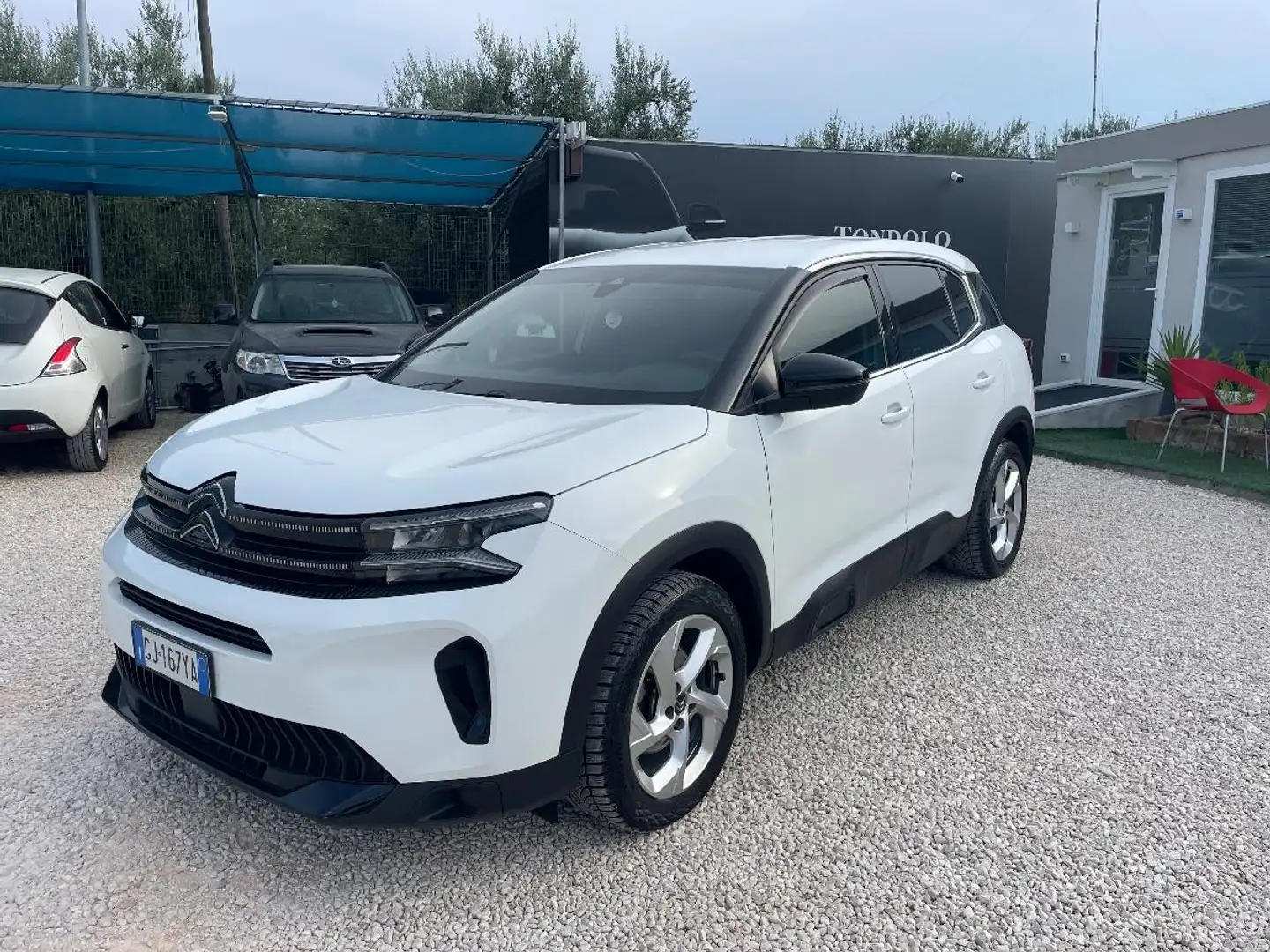 Citroen C5 Aircross BlueHDI 130S&S EAT8 C-Series Blanc - 2