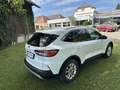 Ford Kuga Titanium ''Markus'' Weiß - thumbnail 5