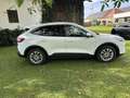 Ford Kuga Titanium ''Markus'' Weiß - thumbnail 6