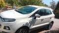 Ford EcoSport EcoSport 2014 1.5 tdci 90cv Bianco - thumbnail 1