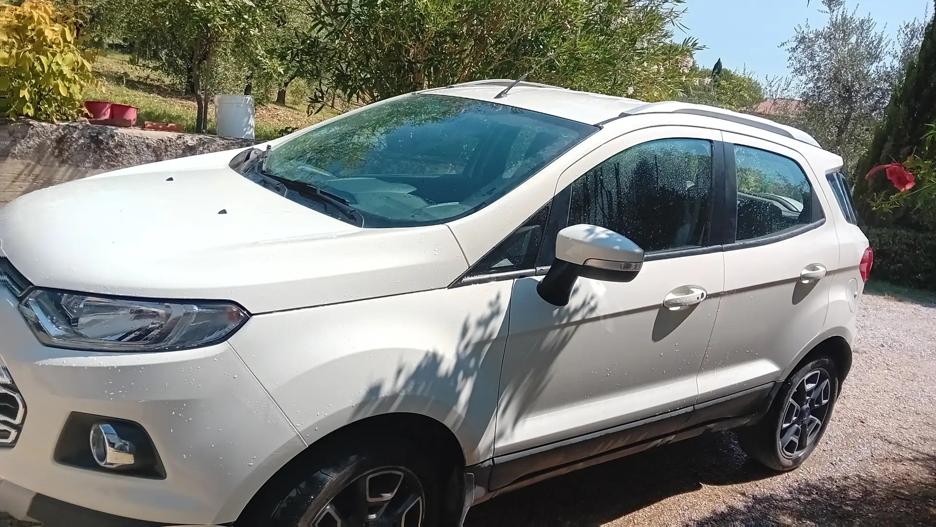 Ford EcoSport EcoSport 2014 1.5 tdci 90cv Bianco - 1
