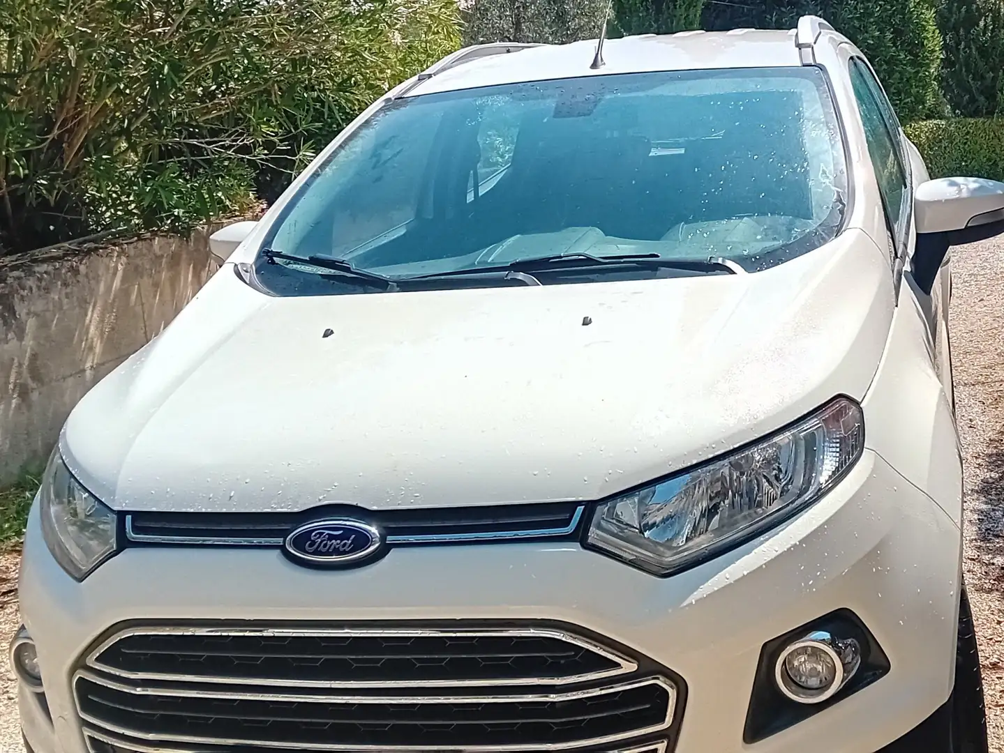 Ford EcoSport EcoSport 2014 1.5 tdci 90cv Bianco - 2