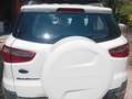 Ford EcoSport EcoSport 2014 1.5 tdci 90cv Bianco - thumbnail 3