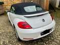 Volkswagen Beetle The Beetle Cabriolet 2.0 TDI DSG Design Weiß - thumbnail 19