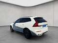 Volvo XC60 XC60 B4 Plus-Dark Aut Glasd Nappaleder Braun RC20 Bianco - thumbnail 3