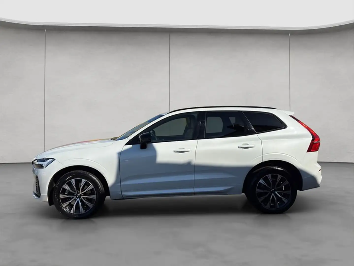 Volvo XC60 XC60 B4 Plus-Dark Aut Glasd Nappaleder Braun RC20 Bianco - 2