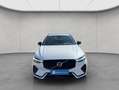 Volvo XC60 XC60 B4 Plus-Dark Aut Glasd Nappaleder Braun RC20 Bianco - thumbnail 6