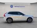 Volvo XC60 XC60 B4 Plus-Dark Aut Glasd Nappaleder Braun RC20 Bianco - thumbnail 5