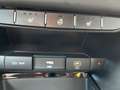 Kia Ceed / cee'd SW 1.0 T-GDI 100 OPF Vision - thumbnail 19
