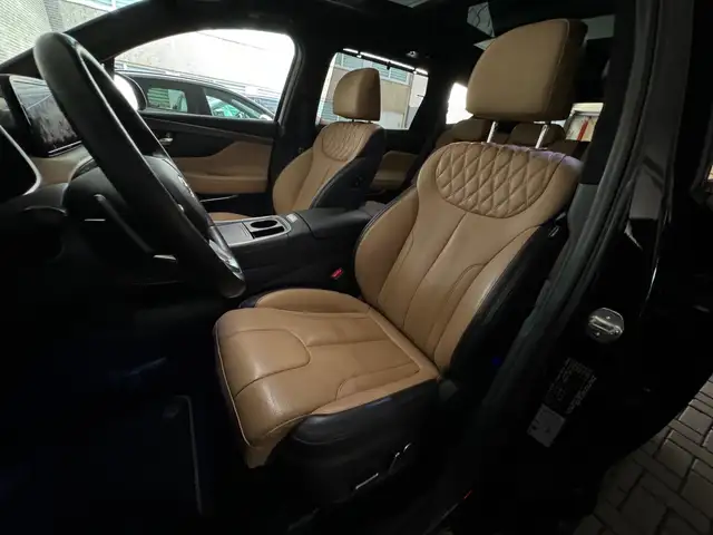 Hyundai Santa Fe view 10