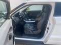 Land Rover Range Rover Evoque Evoque Dynamic SD4 Leder Kamera Bi-Xenon Blanc - thumbnail 7