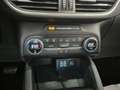 Ford Kuga Kuga III 2020 1.5 ecoblue Titanium 2wd 120cv auto Grigio - thumbnail 13