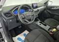 Ford Kuga Kuga III 2020 1.5 ecoblue Titanium 2wd 120cv auto Grigio - thumbnail 5
