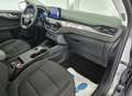 Ford Kuga Kuga III 2020 1.5 ecoblue Titanium 2wd 120cv auto Grigio - thumbnail 7
