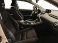 Lexus NX 300h 2WD WG NEDC BUSINESS NAVIGATION Blanco - thumbnail 6