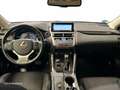 Lexus NX 300h 2WD WG NEDC BUSINESS NAVIGATION Blanco - thumbnail 9