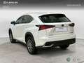 Lexus NX 300h 2WD WG NEDC BUSINESS NAVIGATION Blanco - thumbnail 2