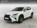 Lexus NX 300h 2WD WG NEDC BUSINESS NAVIGATION Blanco - thumbnail 1
