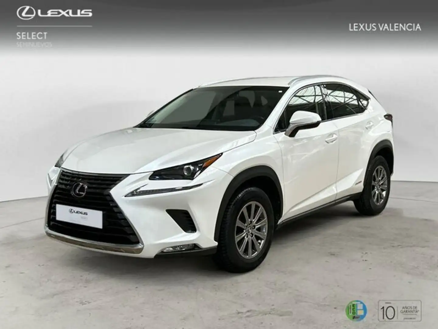 Lexus NX 300h 2WD WG NEDC BUSINESS NAVIGATION Blanco - 1