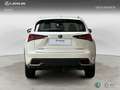 Lexus NX 300h 2WD WG NEDC BUSINESS NAVIGATION Blanco - thumbnail 4