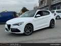 Alfa Romeo Stelvio 2.2 Veloce Q4 - PROMO FINANZIAMENTO - Alb - thumbnail 1