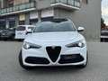 Alfa Romeo Stelvio 2.2 Veloce Q4 - PROMO FINANZIAMENTO - Alb - thumbnail 2